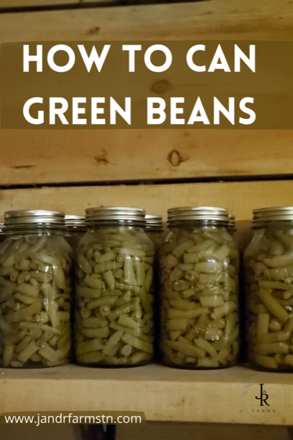 Pressure canning green beans with my new instapot!